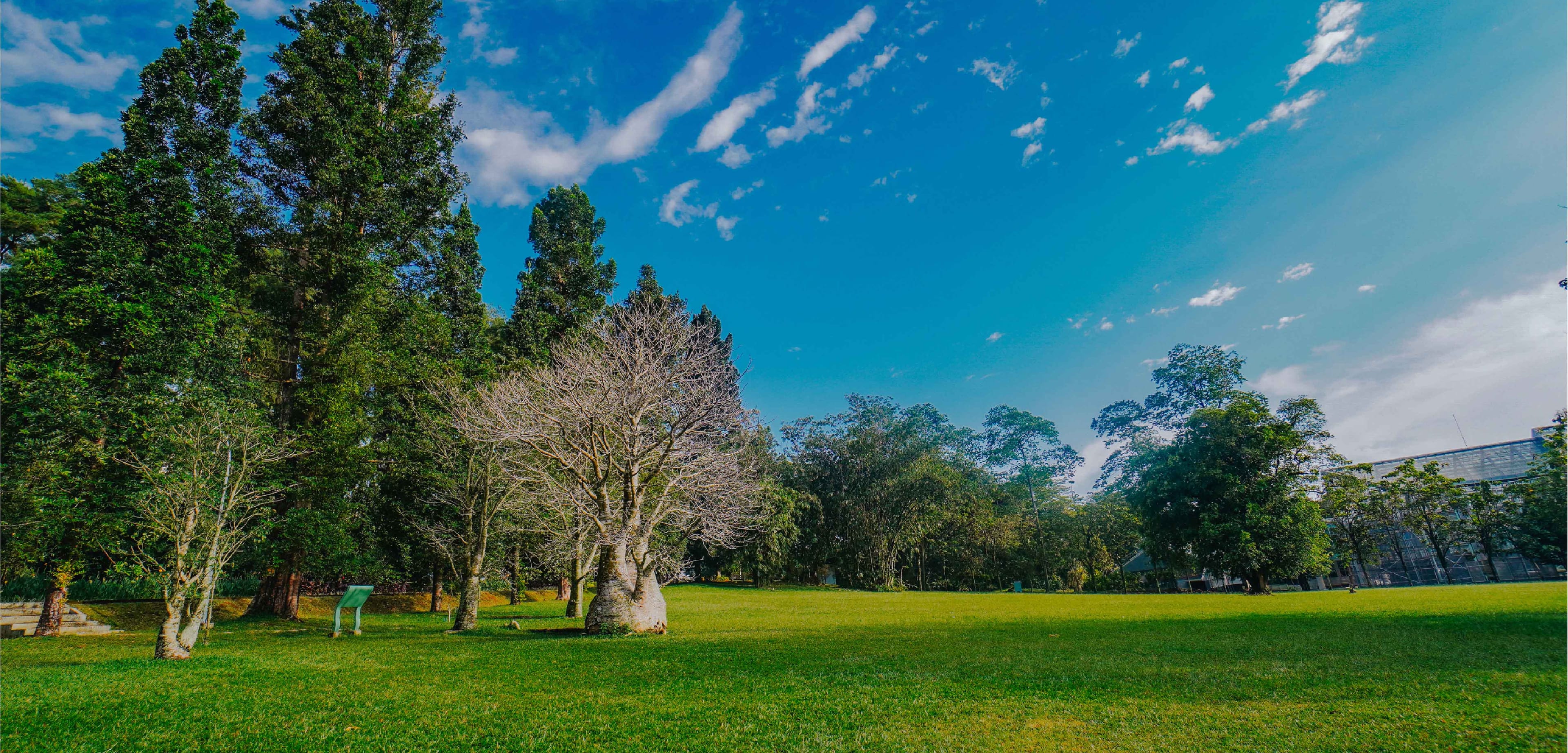 Kebun Raya Bogor