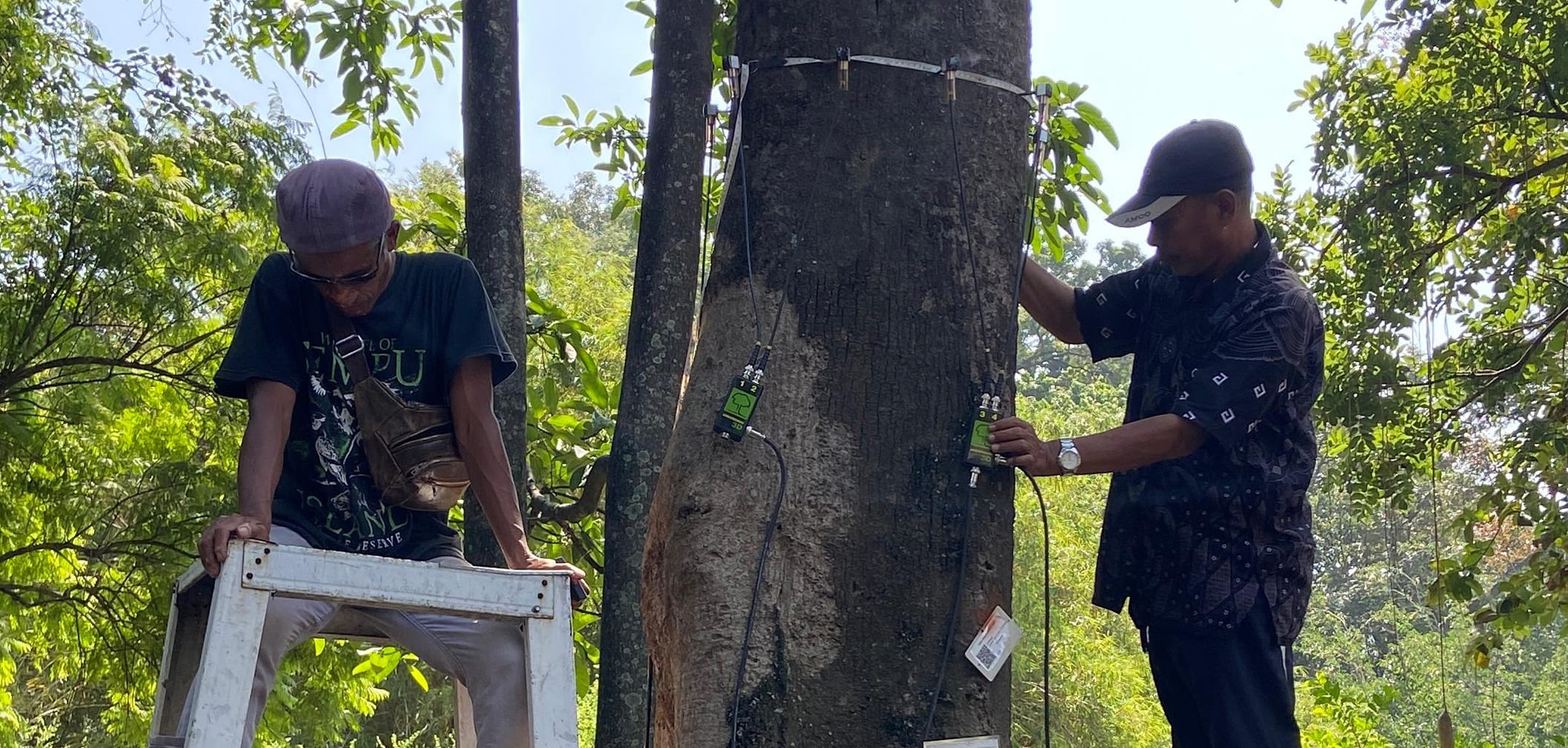 Research at Kebun Raya Purwodadi